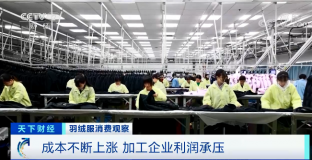 羽絨服輪番漲價(jià) 中高端產(chǎn)品還賣得更火了？
